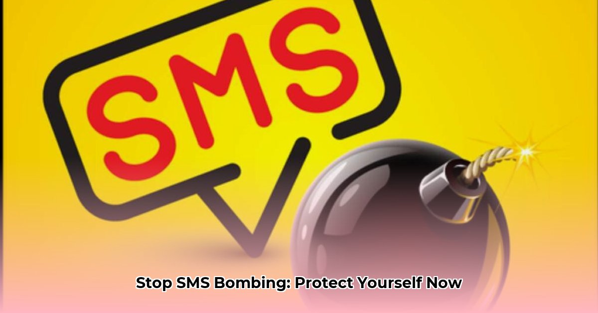 sms-bomber-application